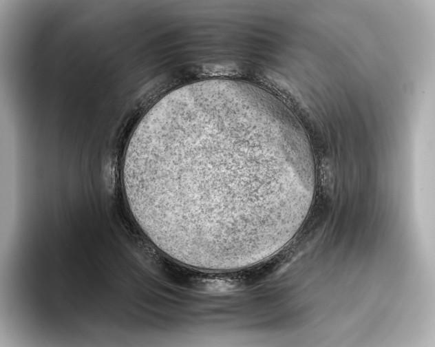 X0000095690741200802051312