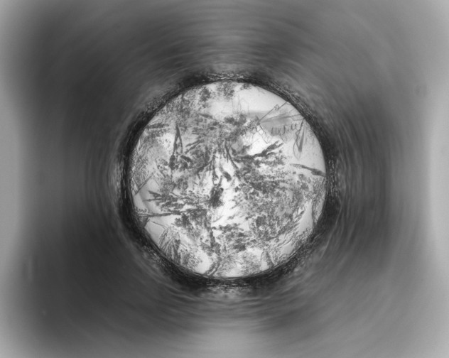 X0000095690742200802051312