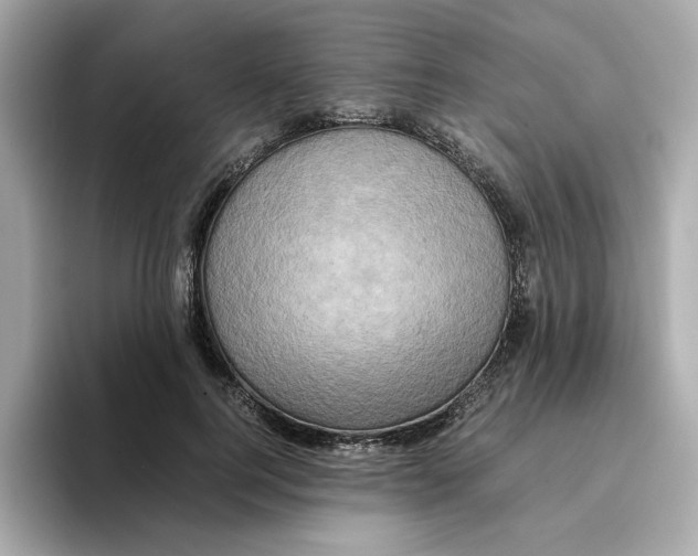 X0000095690744200802051312