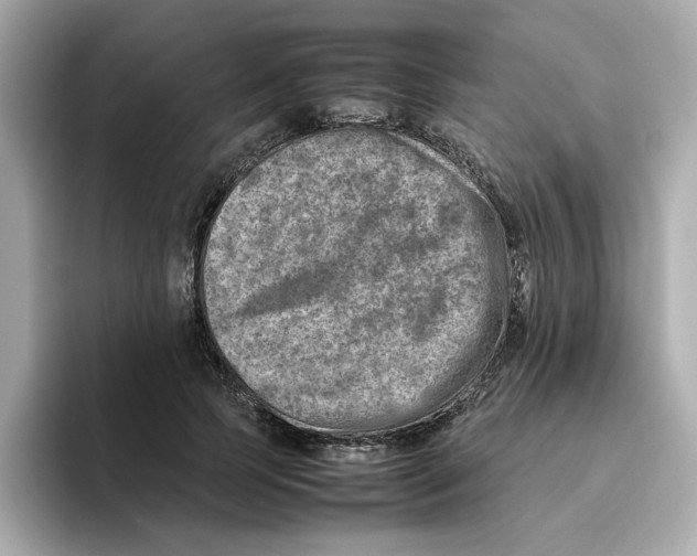 X0000095690745200802051312