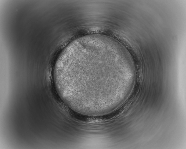 X0000095690746200802051312