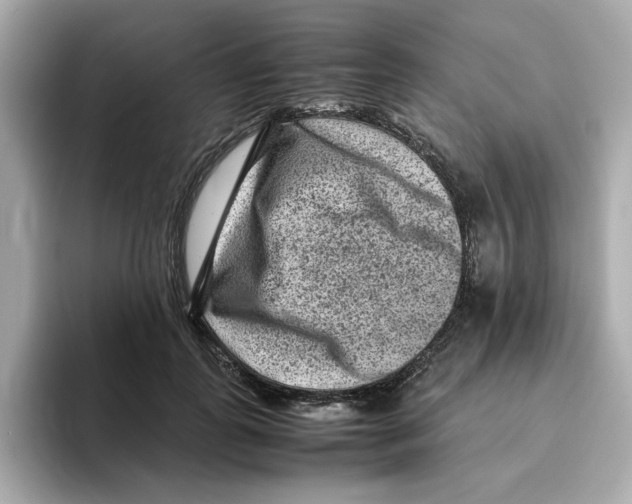 X0000095690747200802051312
