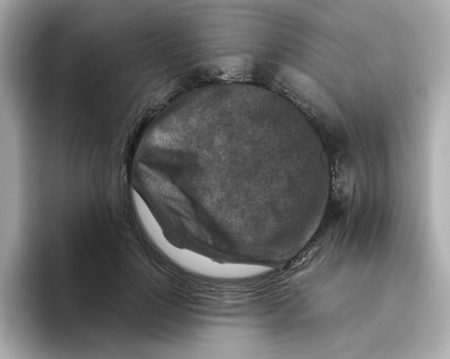 X0000095690748200802051312