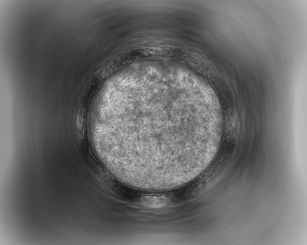 X0000095690749200802051312