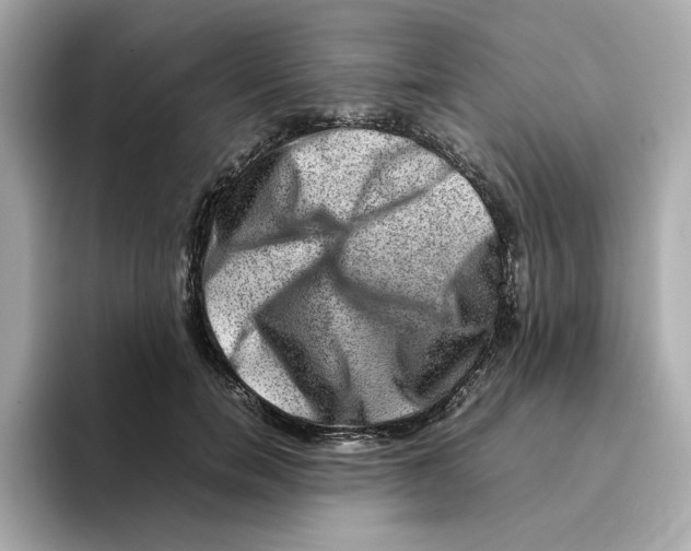 X0000095690750200802051312