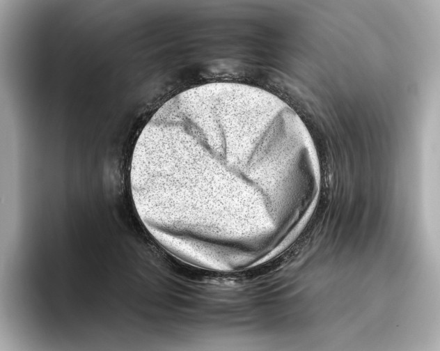 X0000095690751200802051312