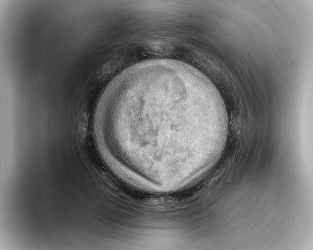 X0000095690752200802051312