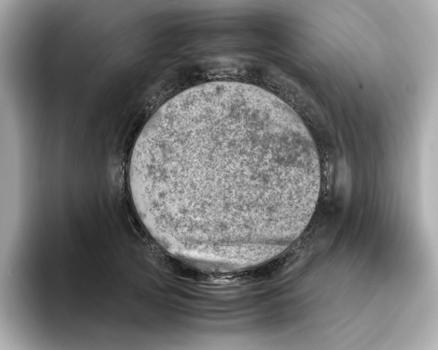 X0000095690753200802051312