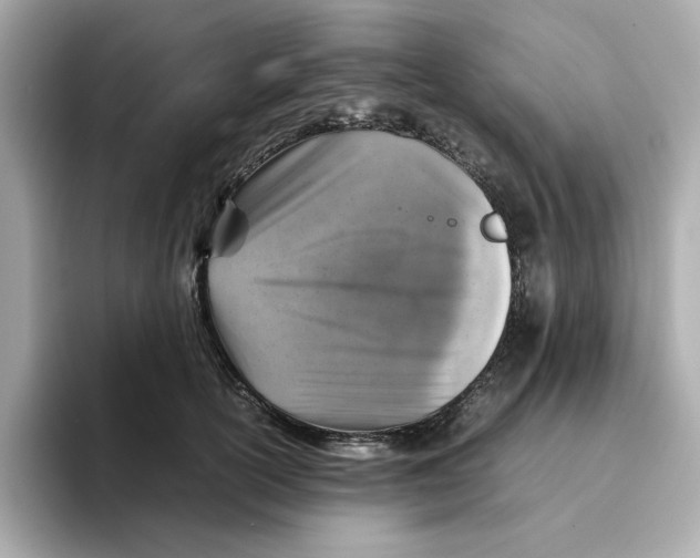 X0000095690754200802051312
