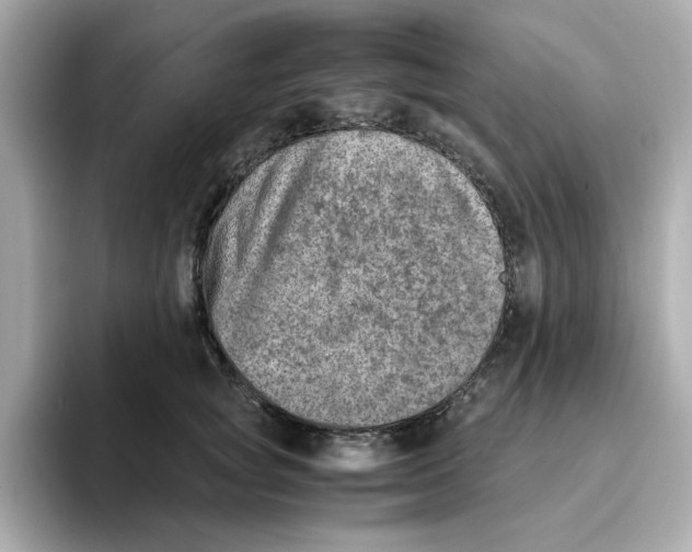 X0000095690757200802051312