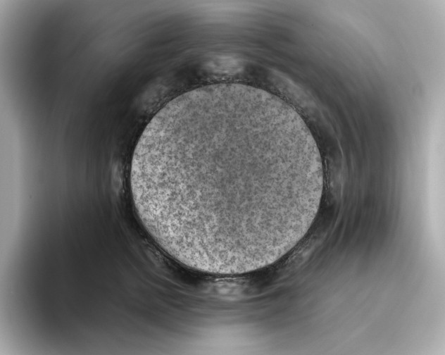 X0000095690758200802051312