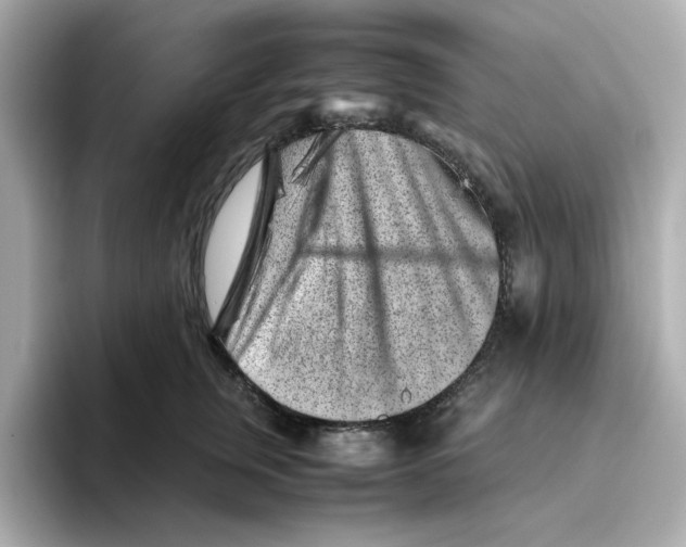 X0000095690759200802051312
