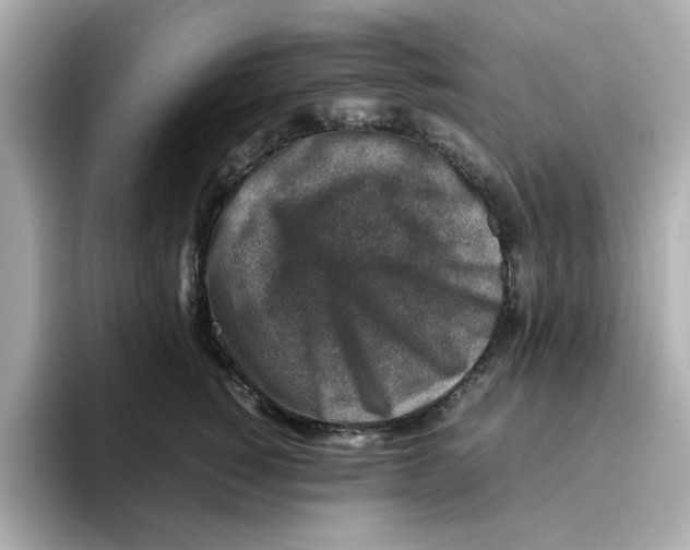 X0000095690760200802051312