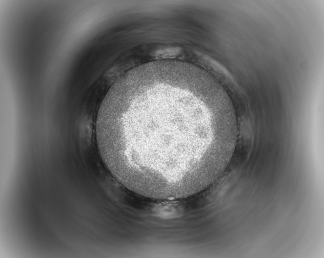 X0000095690761200802051312