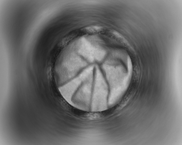 X0000095690762200802051312
