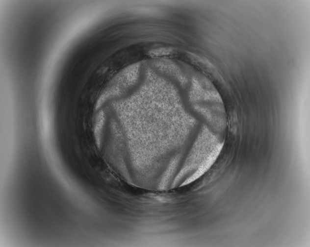 X0000095690763200802051312
