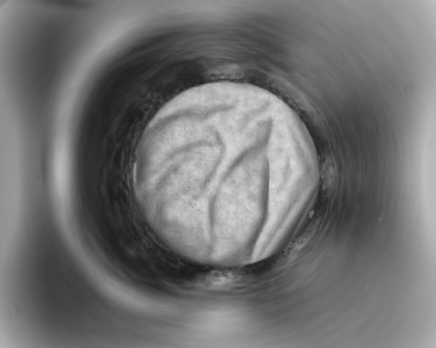 X0000095690764200802051312