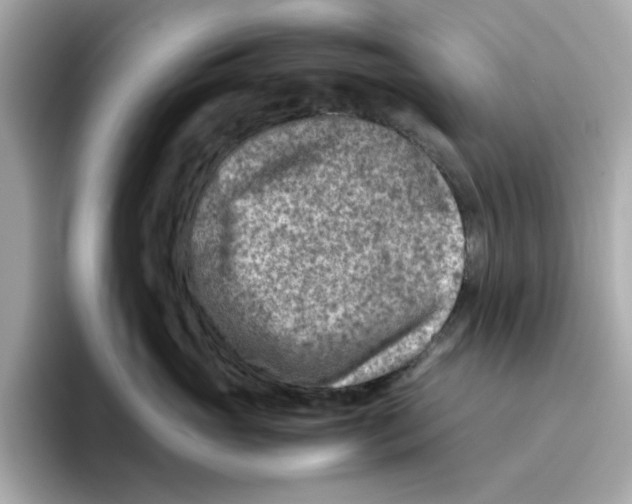 X0000095690765200802051313