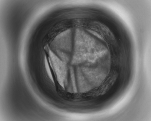 X0000095690766200802051313