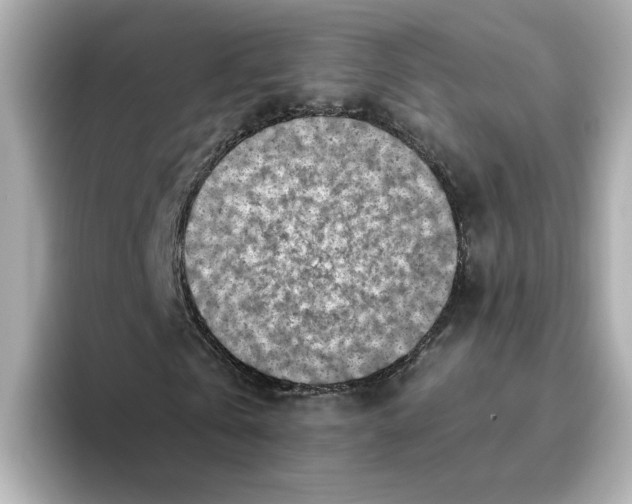 X0000095690769200802051312