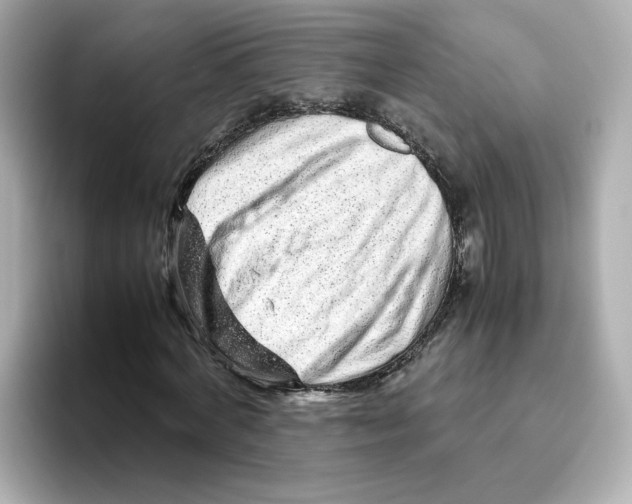 X0000095690772200802051312