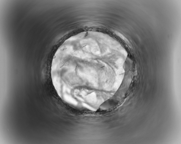 X0000095690775200802051312