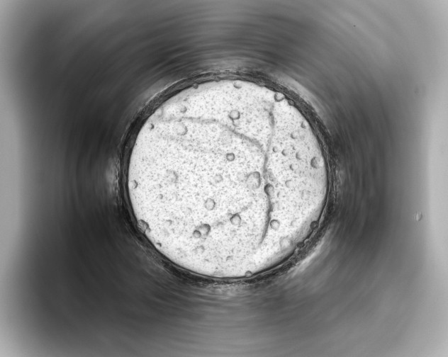 X0000095690778200802051312