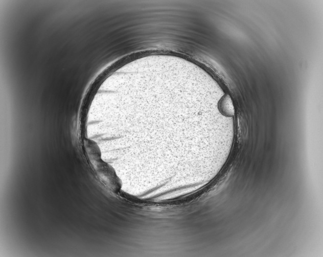 X0000095690780200802051312