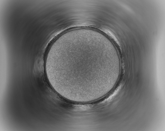 X0000095690781200802051312