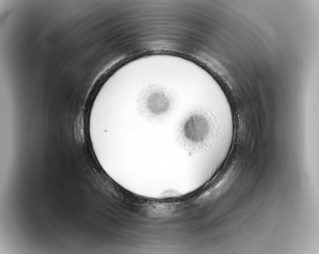 X0000095690782200802051312