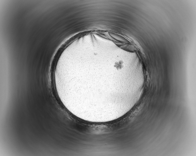 X0000095690784200802051312