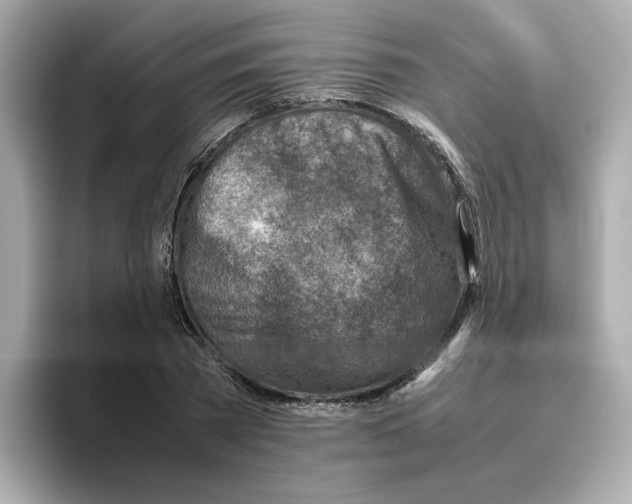 X0000095690785200802051312