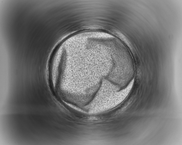 X0000095690787200802051311