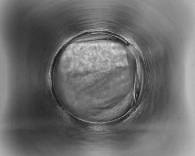 X0000095690789200802051311