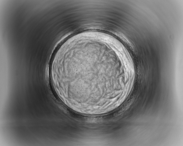 X0000095690790200802051311