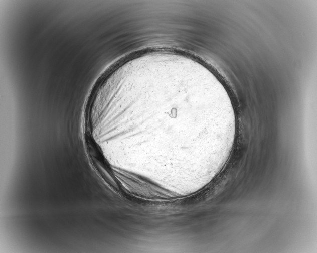 X0000095690791200802051311