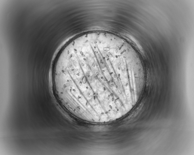X0000095690796200802051311