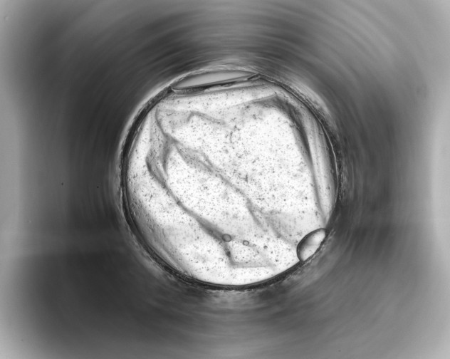 X0000095690800200802051311
