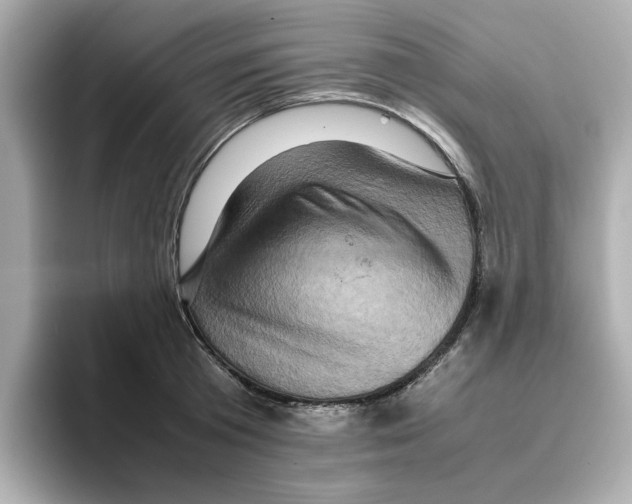 X0000095690801200802051311