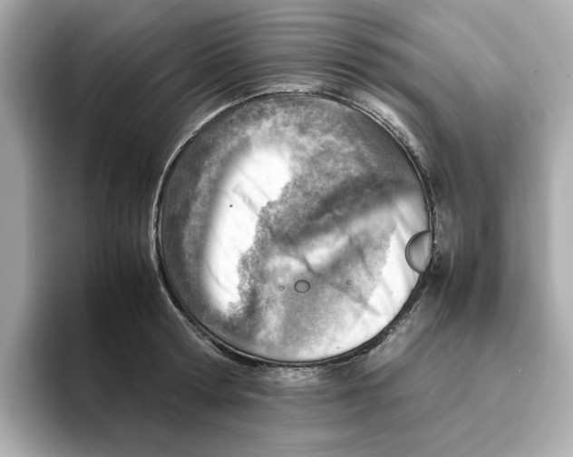 X0000095690802200802051311
