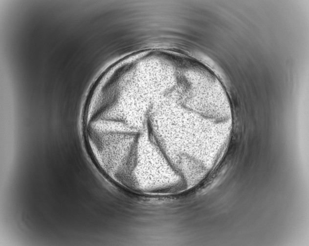 X0000095690803200802051311