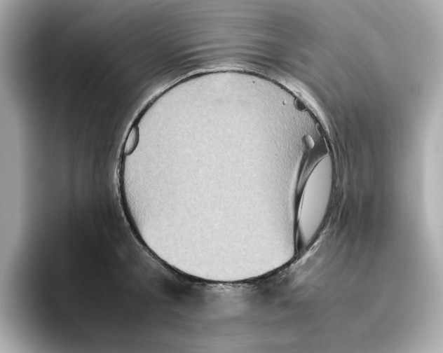 X0000095690805200802051311