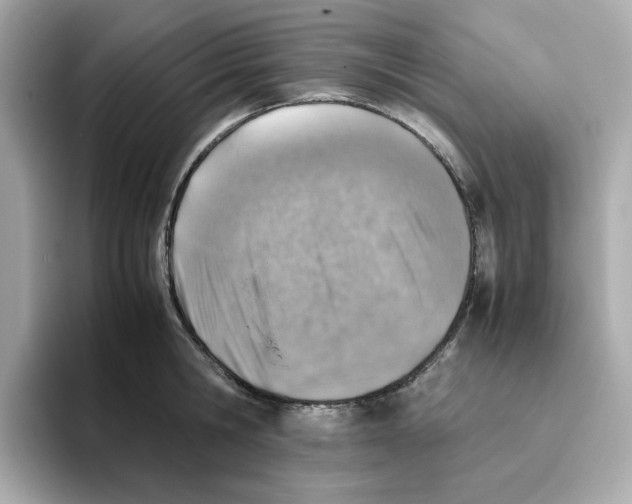 X0000095690806200802051311