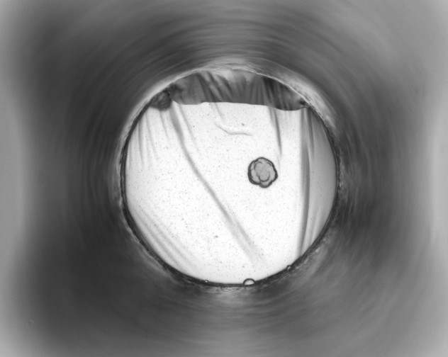 X0000095690808200802051311