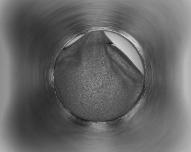 X0000095690809200802051311