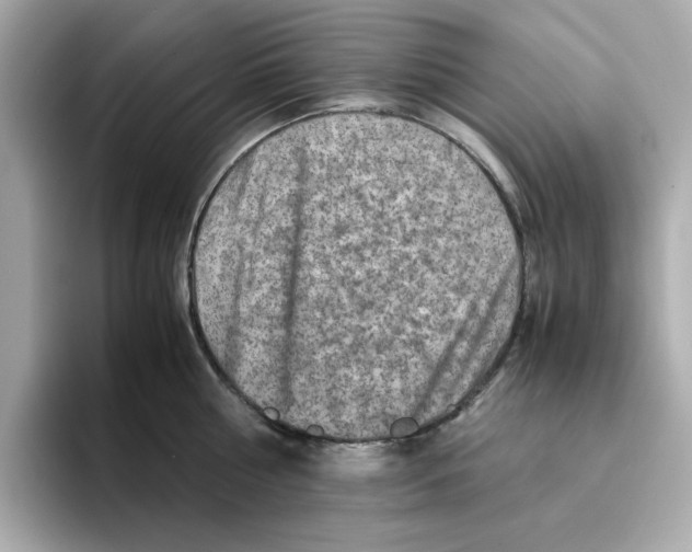X0000095690810200802051311