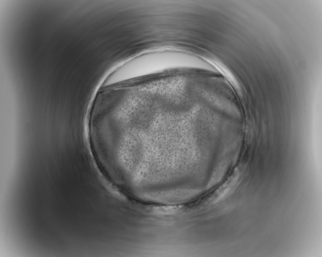 X0000095690813200802051311