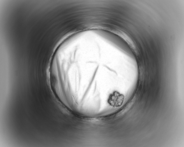X0000095690814200802051311