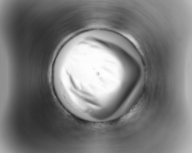 X0000095690815200802051311