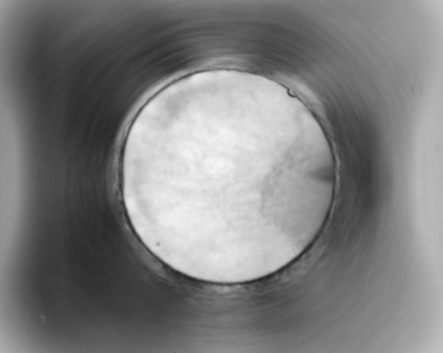 X0000095690816200802051311